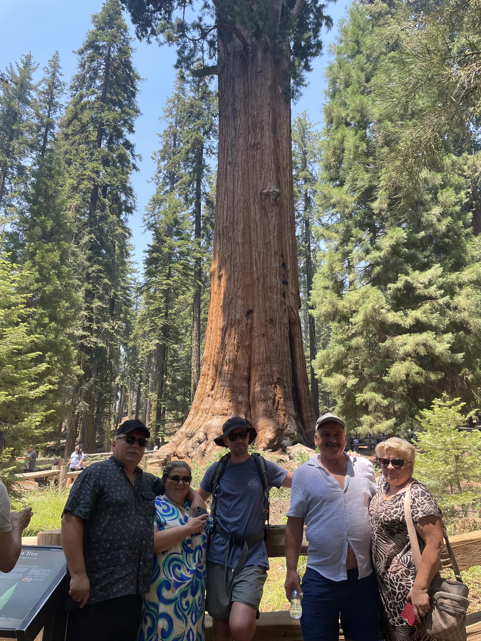 Sequoia National Park - gigantyczne sekwoje z przewodnikiem