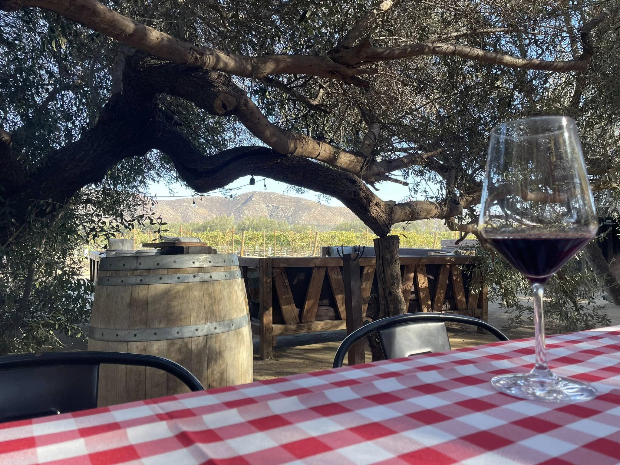 Meksyk - niesamowite przygody tuż za granicą